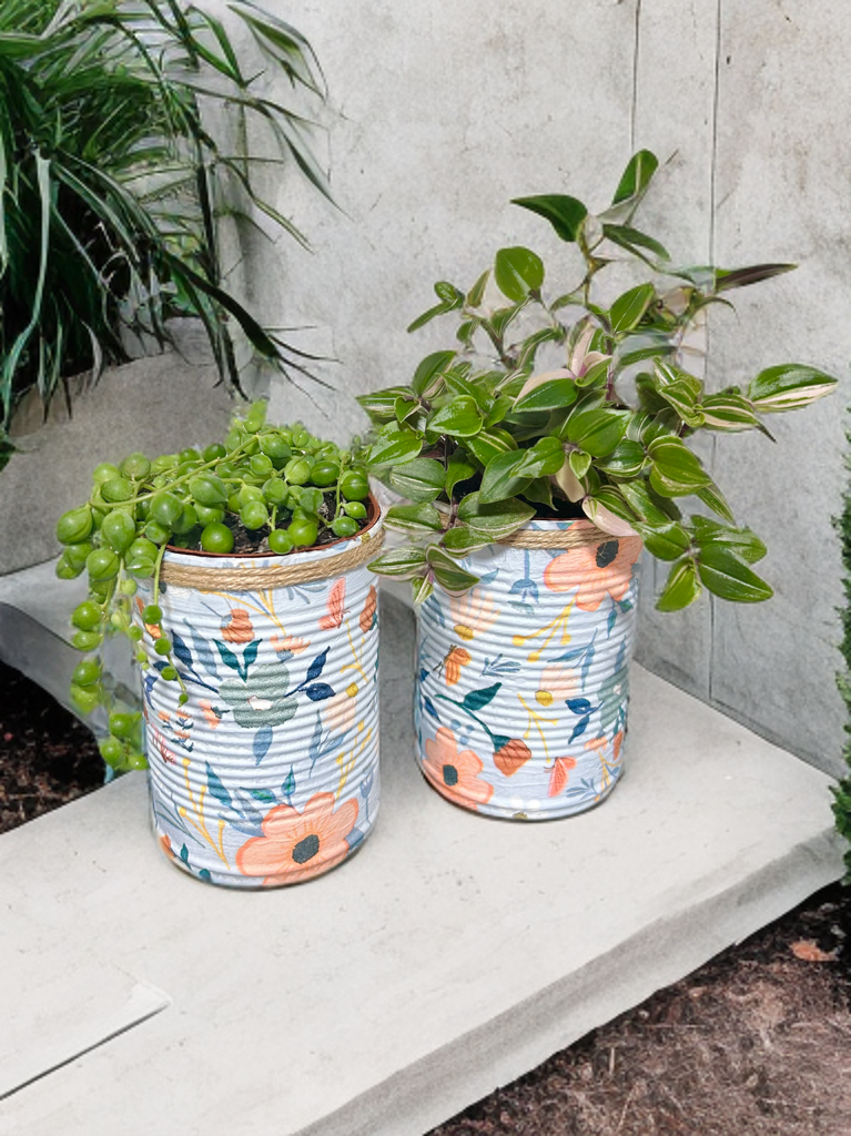 Pastel Peach & Blue Grow Your Own Herbs Gift Set