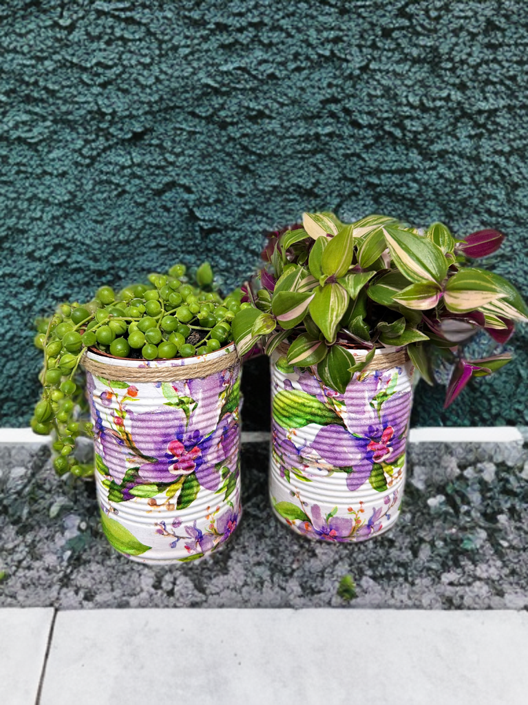 Lilac Watercolour Orchid Grow Your Own Gift Set