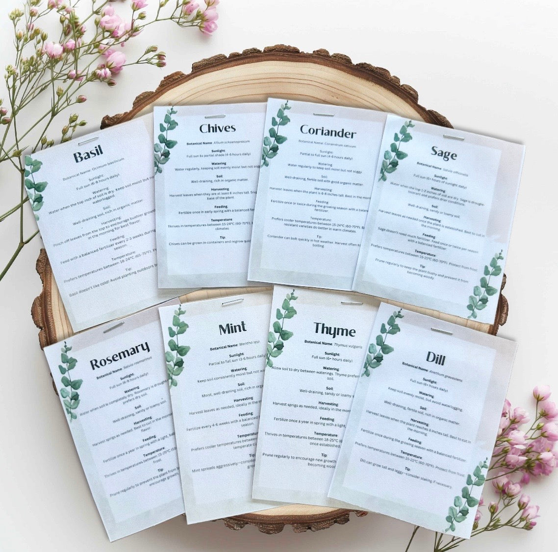 Winter Angel Deer Grow Your Own Herb Garden Gift Set