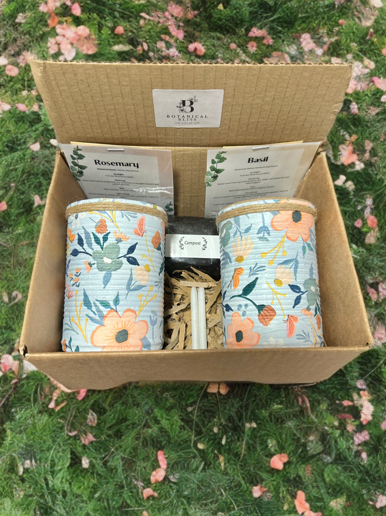 Pastel Peach & Blue Grow Your Own Herbs Gift Set