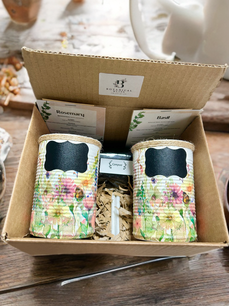 Fresh Wild Meadow Grow Your Own Herbs Gift Set