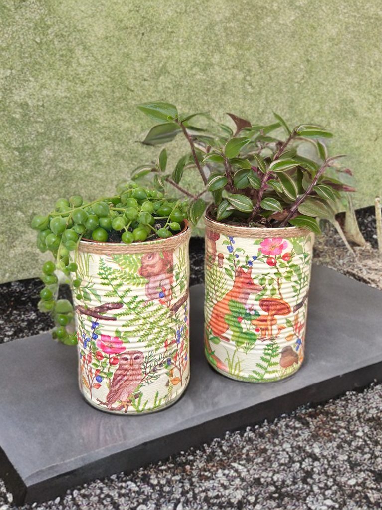 Sage Green Woodland Animal Grow Your Own Herbs Gift Set