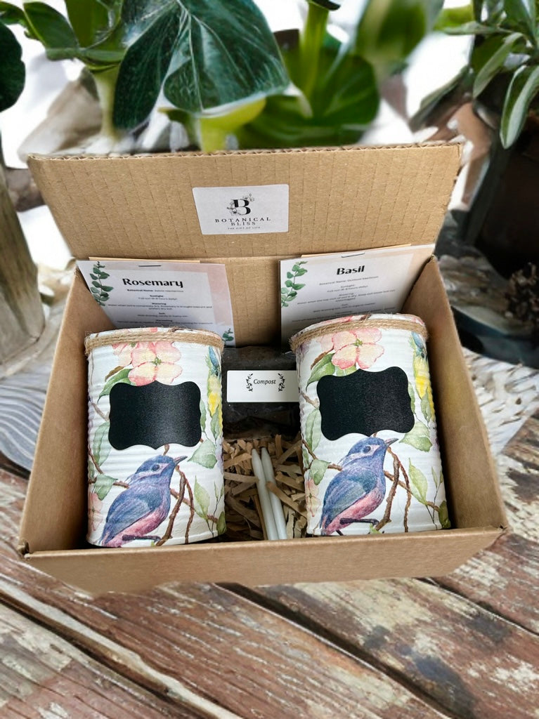 Spring Bird Grow Your Own Herb Gift Set