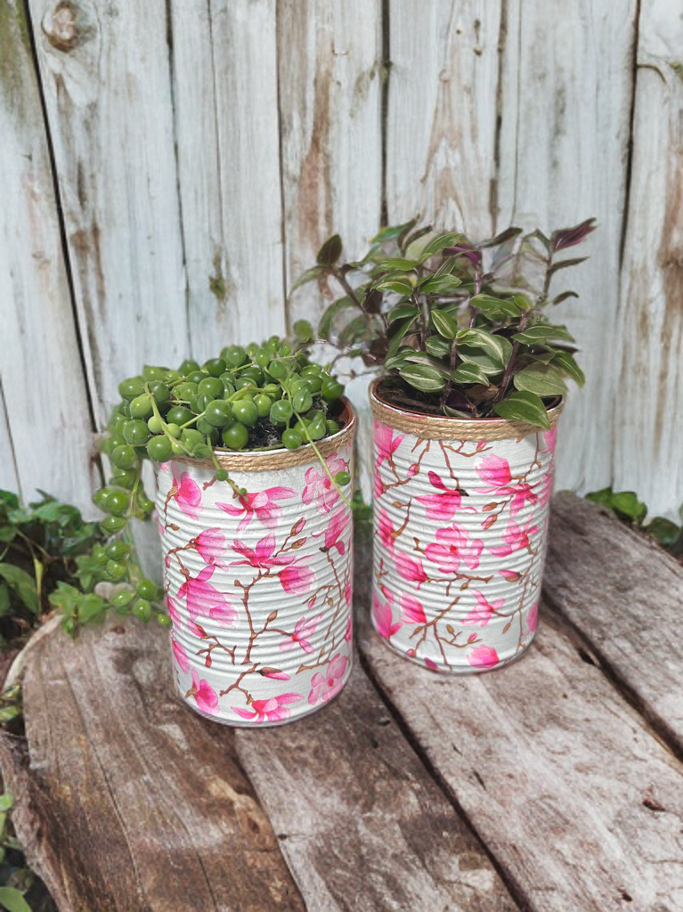 Cherry Blossom Pink & Grey Grow Your Own Herbs Garden Gift Set