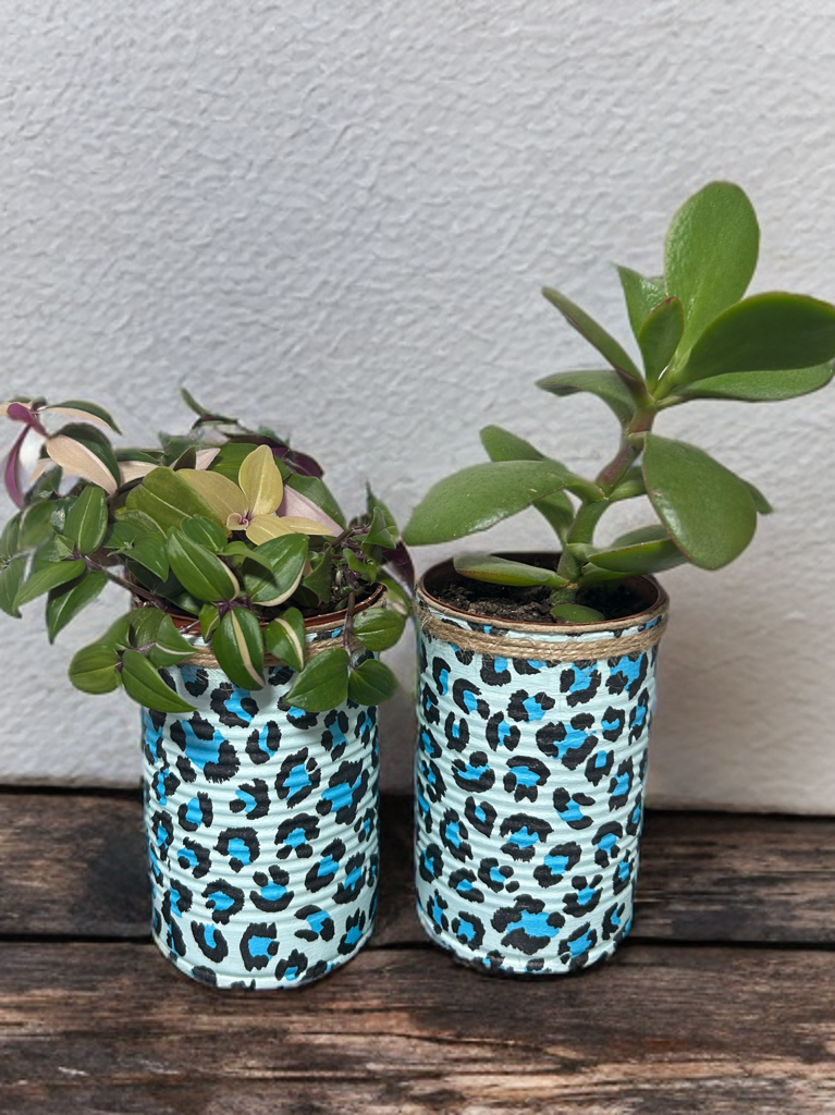 Geschenkset "Kräutergarten zum Selberziehen" mit blauem Leopardenmuster