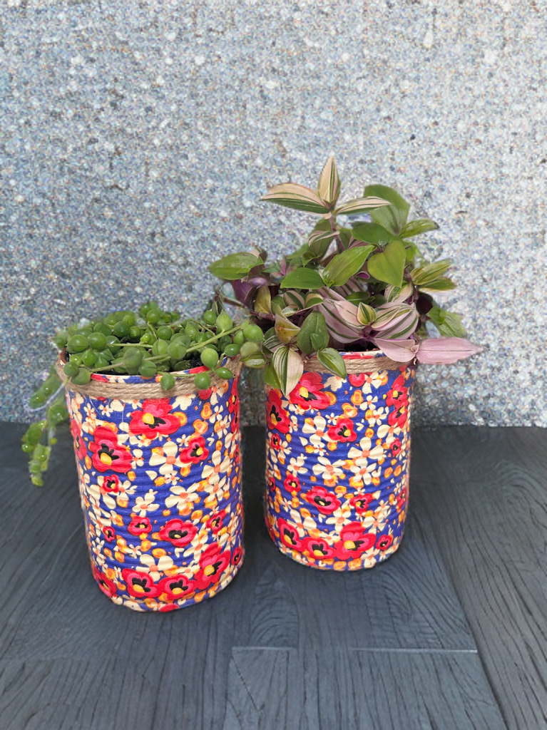 Red Poppy & Cream Daisy Grow Your Own Herbs Garden Gift Set