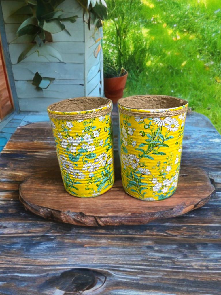 Yellow Daisy Ditsy Grow Your Own Herbs Gift Set