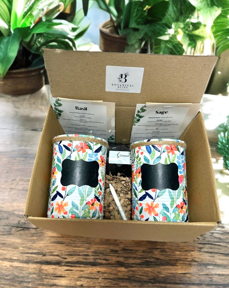 Wildflower Berry Bloom Grow Your Own Herb Garden Gift Set