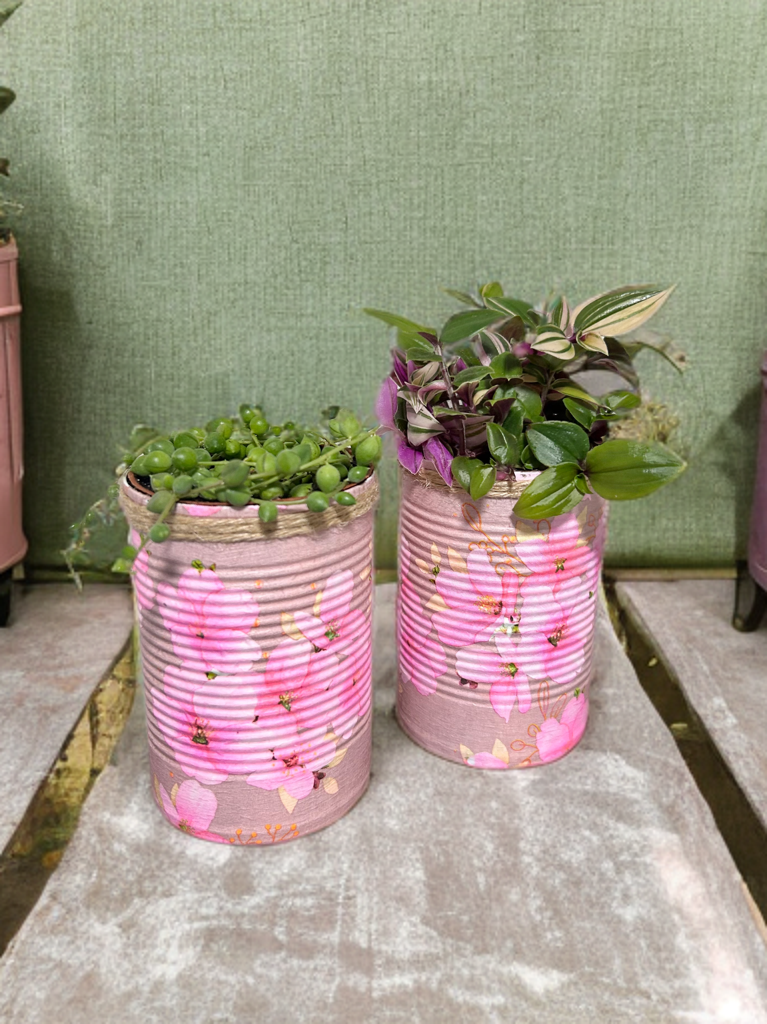 Cherry Blossom Grow Your Own Herbs Gift Set