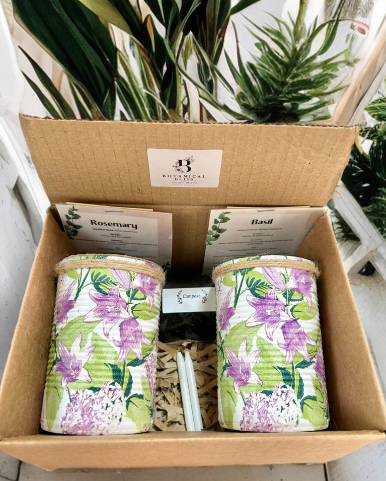 Lilac Lily & Hydrangea Grow Your Own Herbs Garden Gift Set