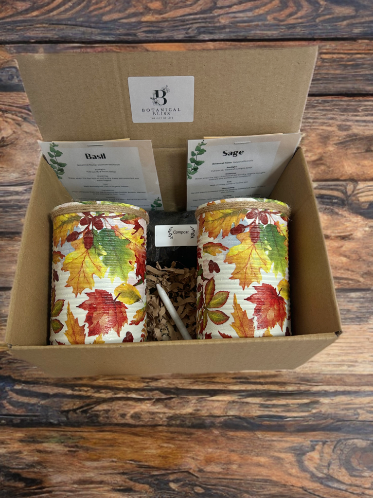 Navy Nature Leaf Umweltfreundliches Kräutergarten-Geschenkset – Ziehen Sie Ihre eigenen Kräuter in recycelten Töpfen, perfektes Geschenk für Gartenliebhaber! Kräuter für die Fensterbank