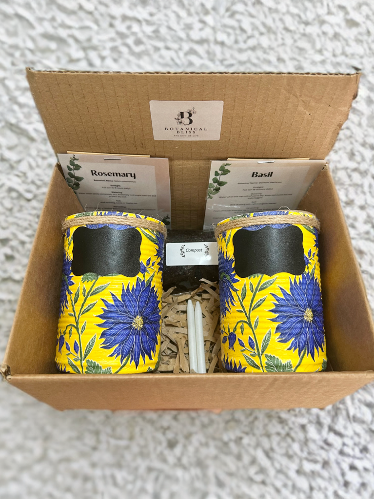 Blue Dahlia Grow Your Own Herbs Gift Set