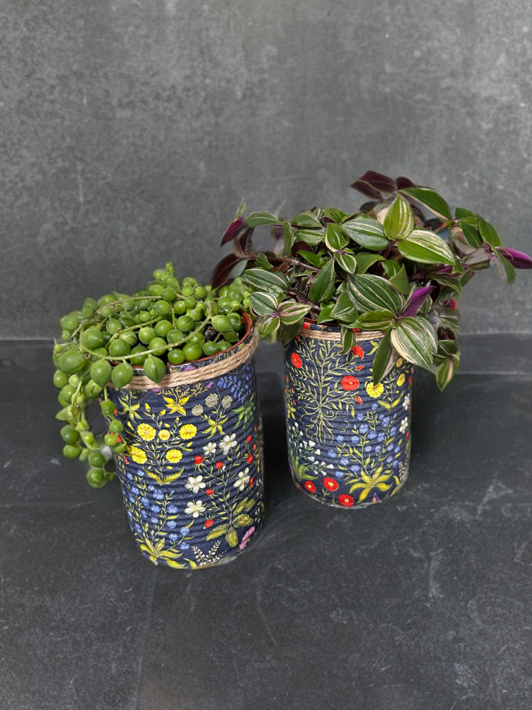 Medieval Floral Garden Grow Your Own Herbs Gift Set