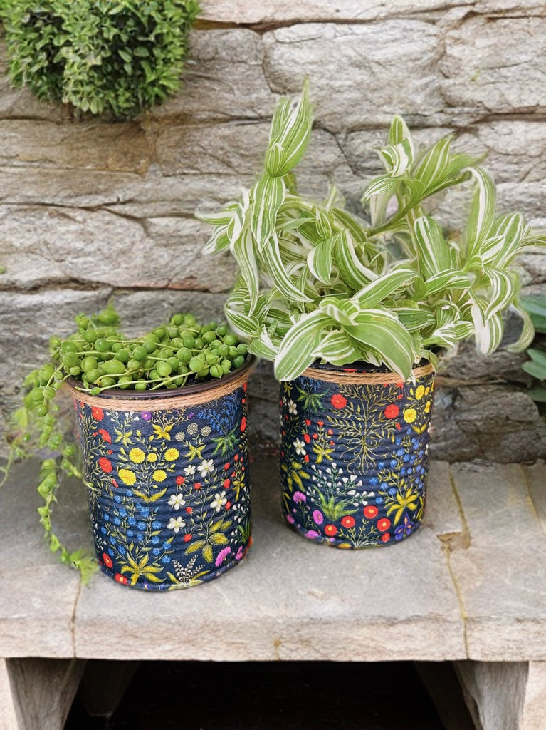 Black Medieval Garden Indoor House Plant Pot - 10cm