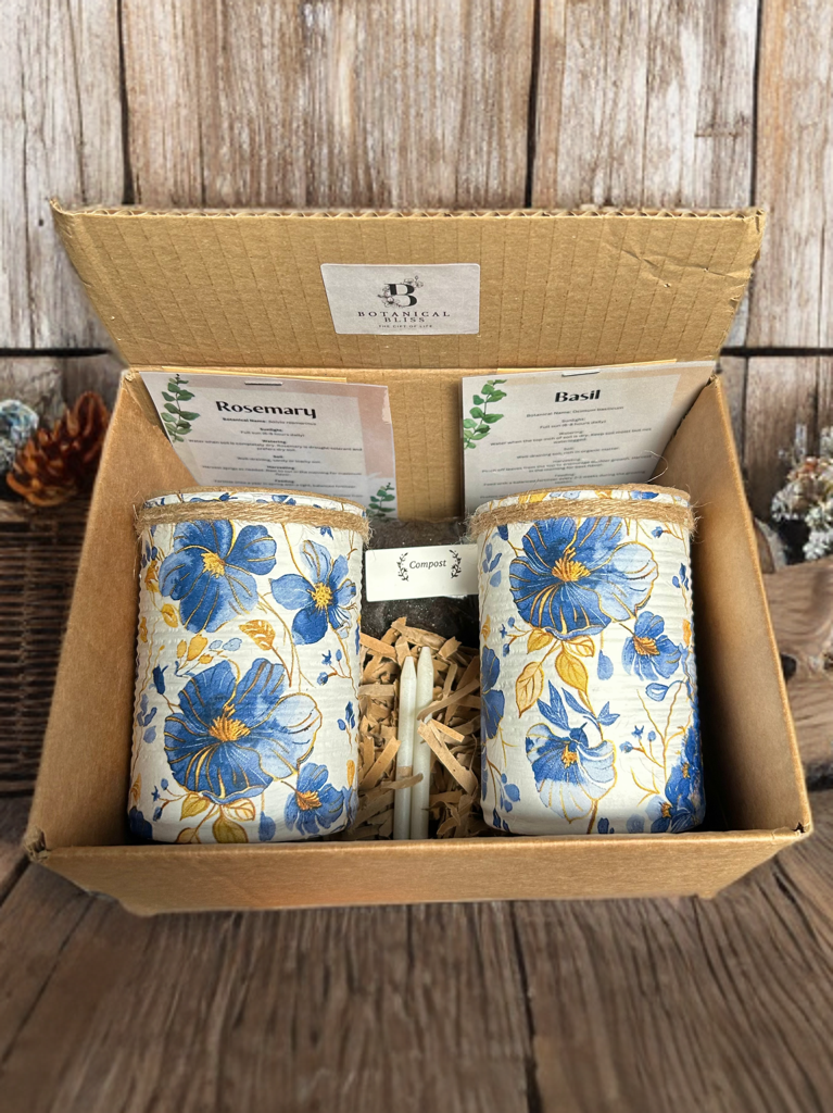 Blue Poppy Grow Your Own Herb Garden Gift Set