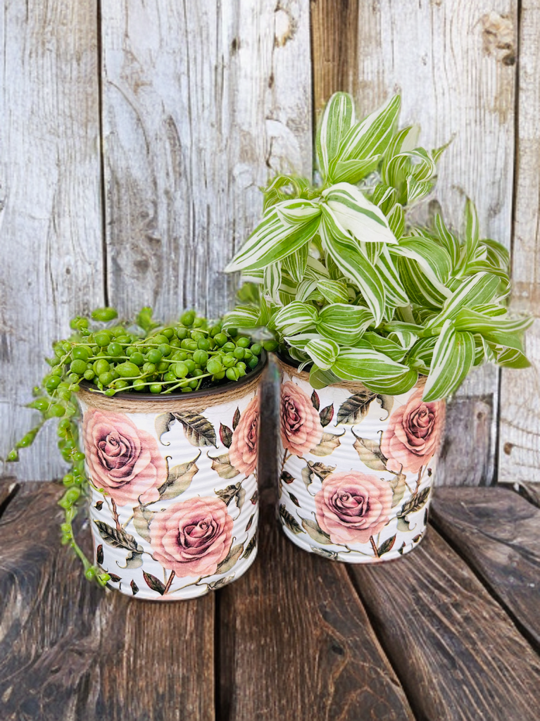 Vintage Beige Rose Indoor House Plant Pot - 10cm