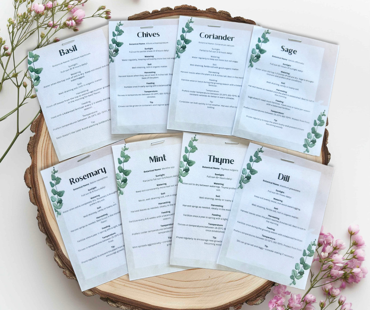 Green Grass Meadow Grow Your Own Herbs Gift Set