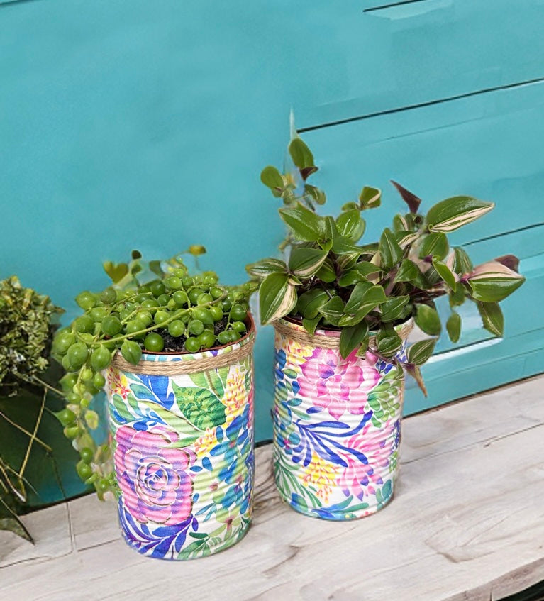 Pastel Bloom Grow Your Own Herbs Gift Set