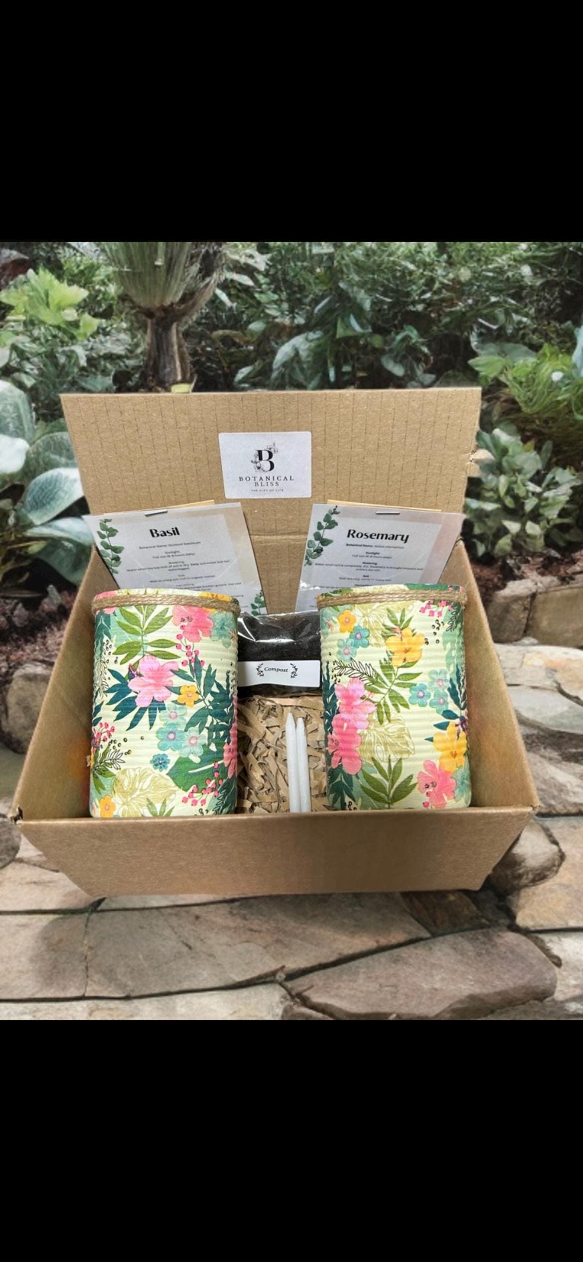 Hawaiian Tropical Grow Your Own Herbs Gift Set