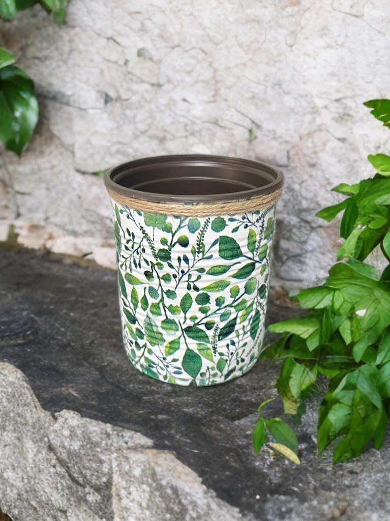 Eucalyptus Foliage Indoor House Plant Pot - 10cm