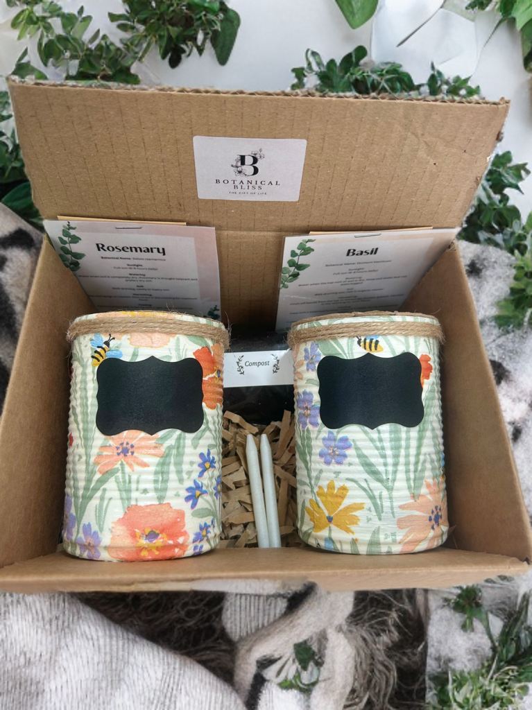 *Farmhouse Collection* Sage Green Floral Grow Your Own Herb Garden Gift Set