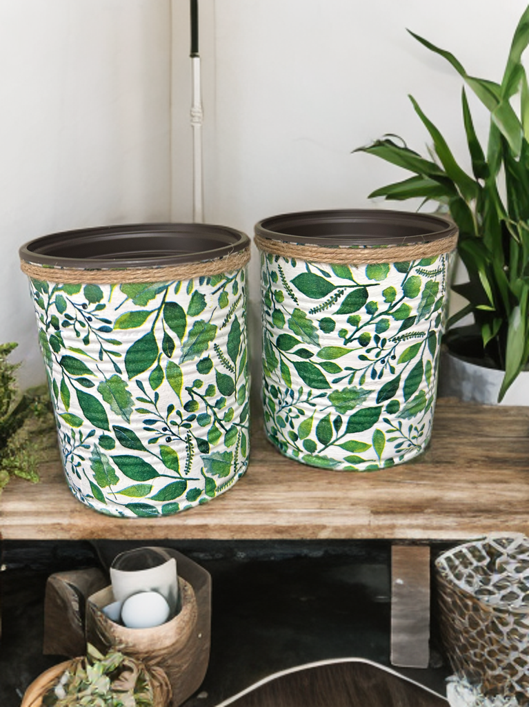 Eucalyptus Foliage Indoor House Plant Pot - 10cm