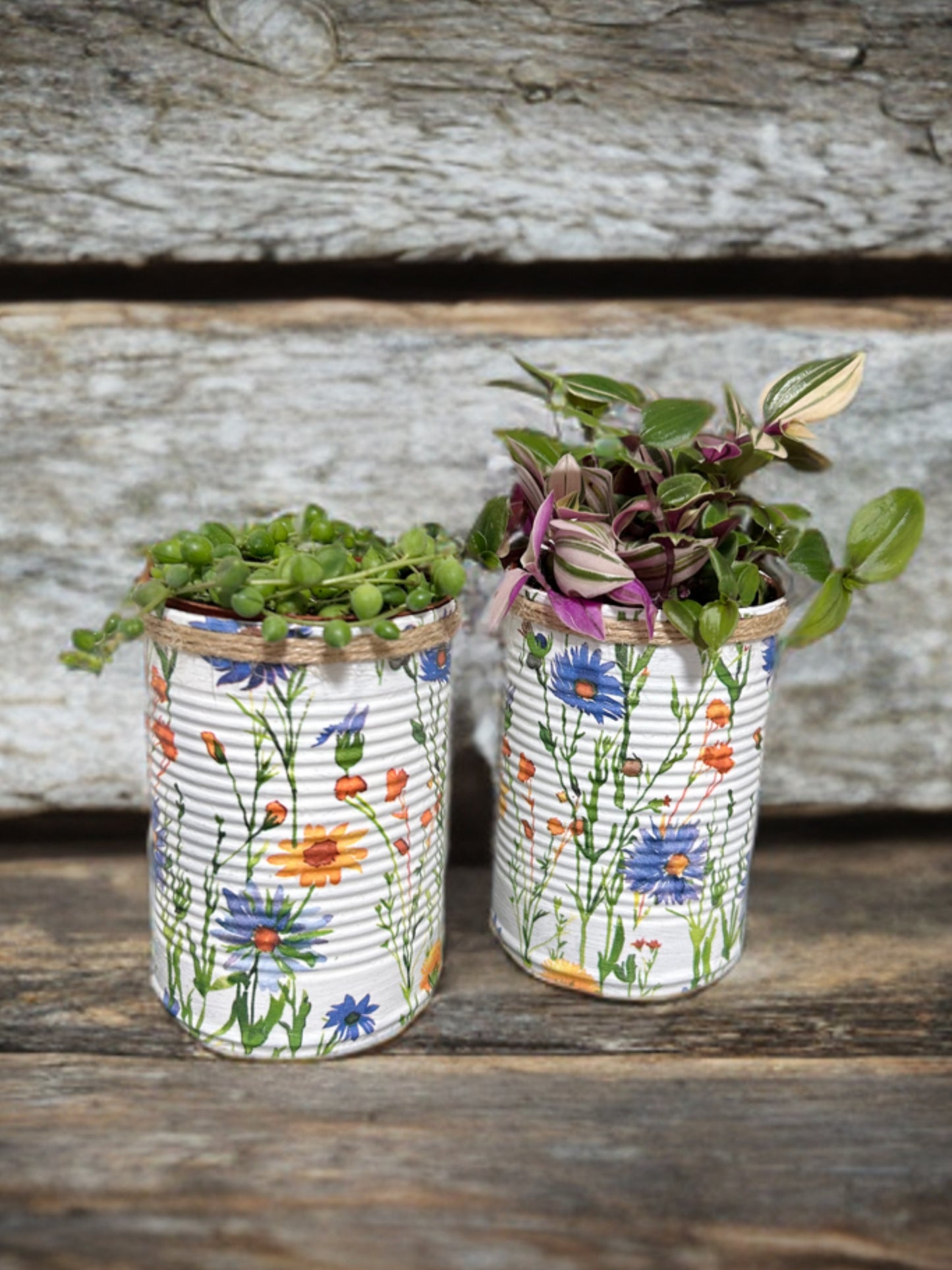 Yellow & Blue Watercolour Daisy Grow Your Own Herb Garden Gift Set