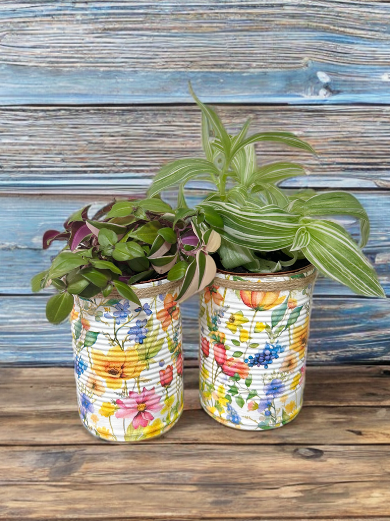 Summer Meadow Grow Your Own Herb Garden Gift Set