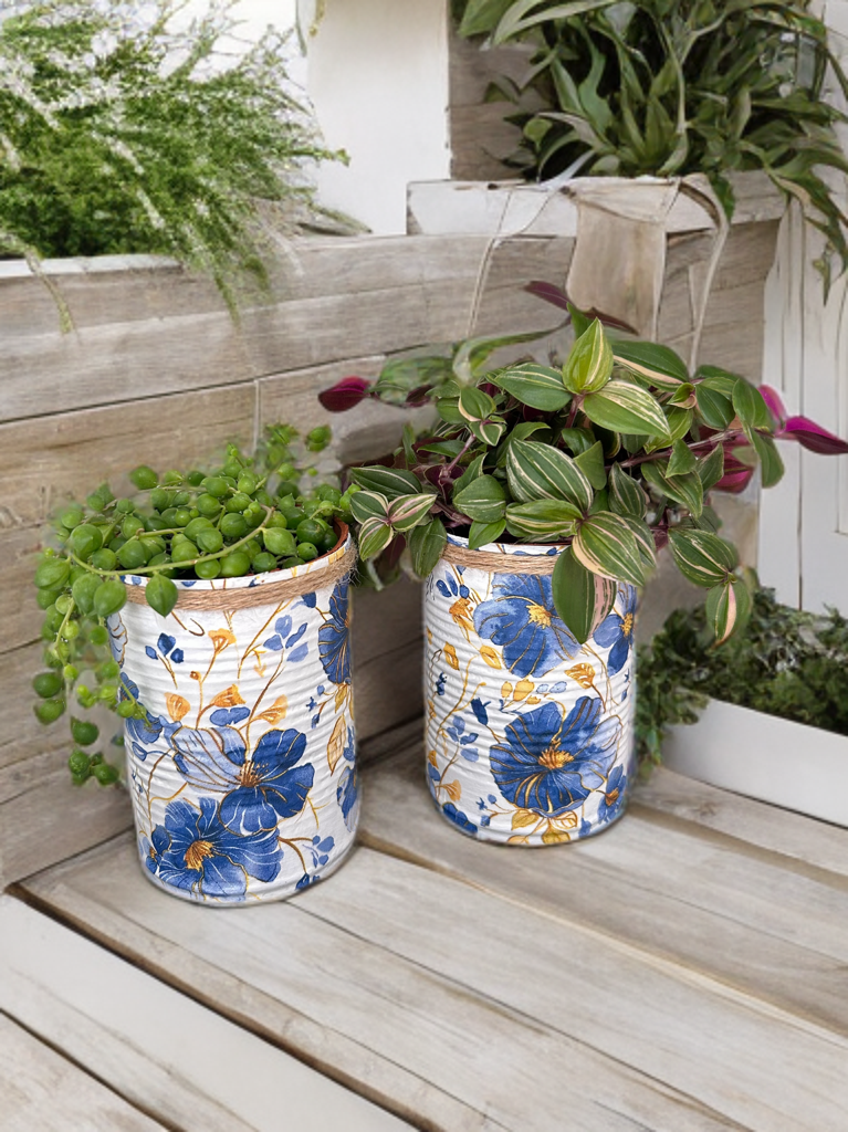 Blue Poppy Grow Your Own Herb Garden Gift Set