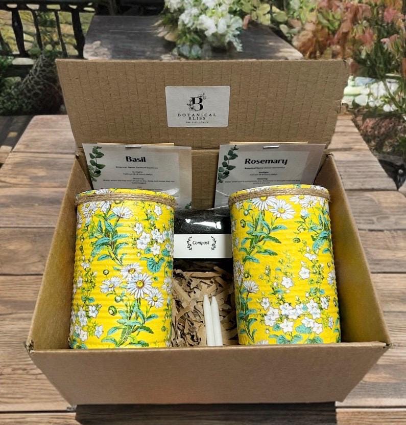 Yellow Daisy Ditsy Grow Your Own Herbs Gift Set