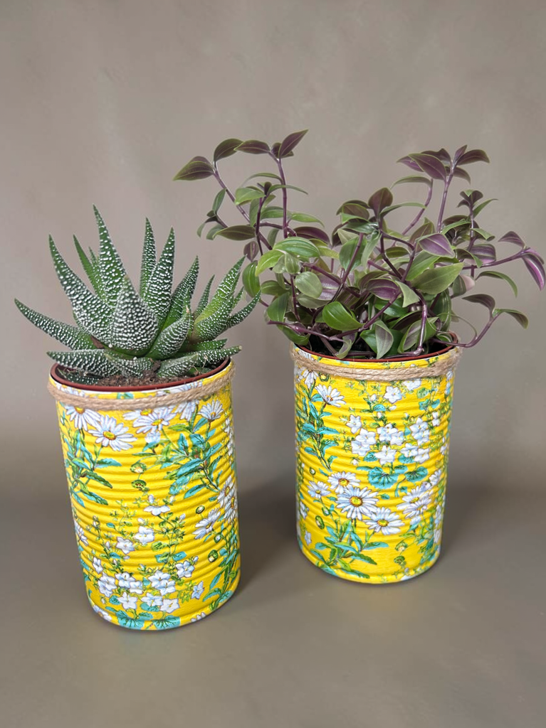 Gelbes Gänseblümchen Ditsy Kräuter selbst anbauen Geschenkset