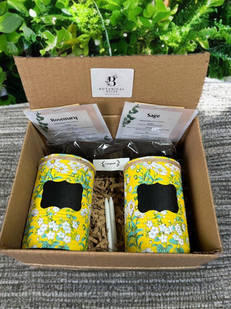 Yellow Daisy Ditsy Grow Your Own Herbs Gift Set