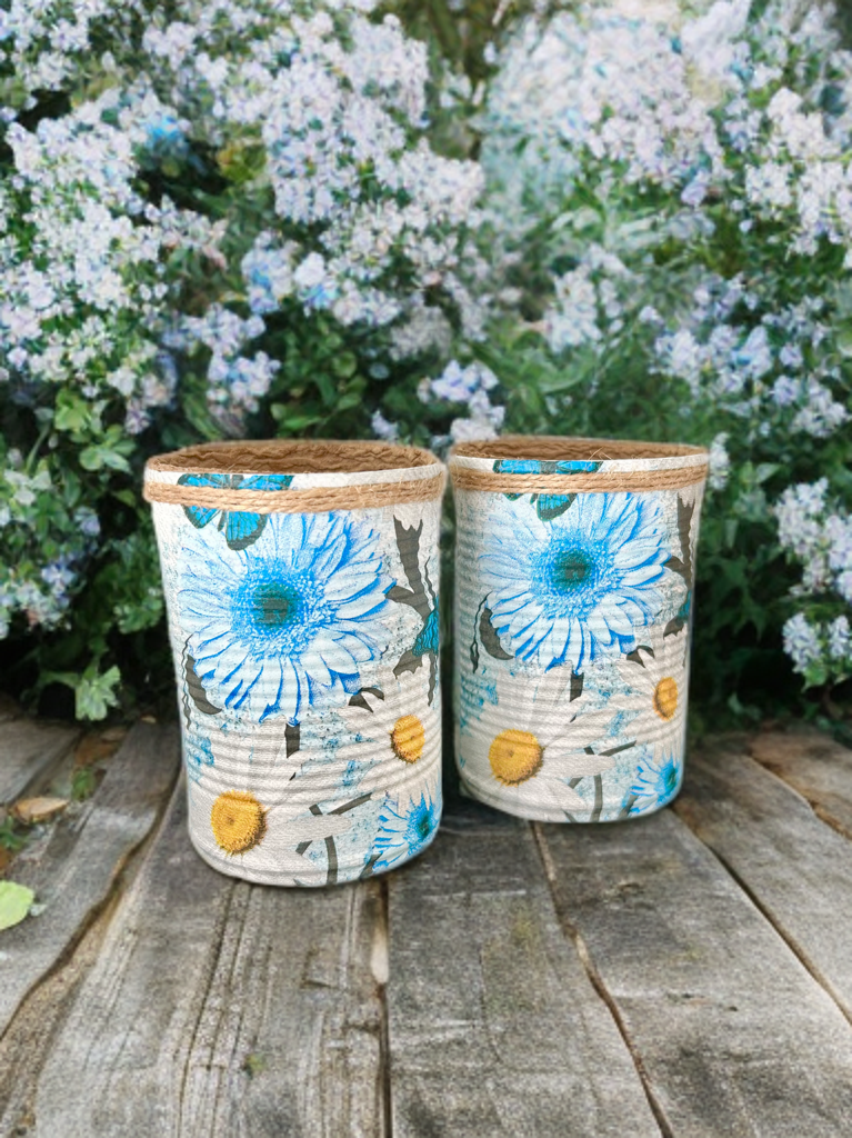 Large African Daisy Grow Your Own Herbs Gift Set