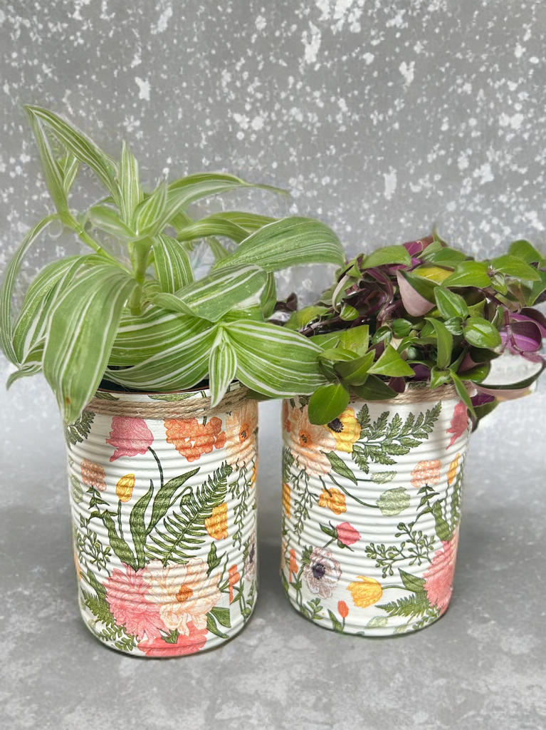 Enchanted Garden Grow Your Own Herb Garden Gift Set