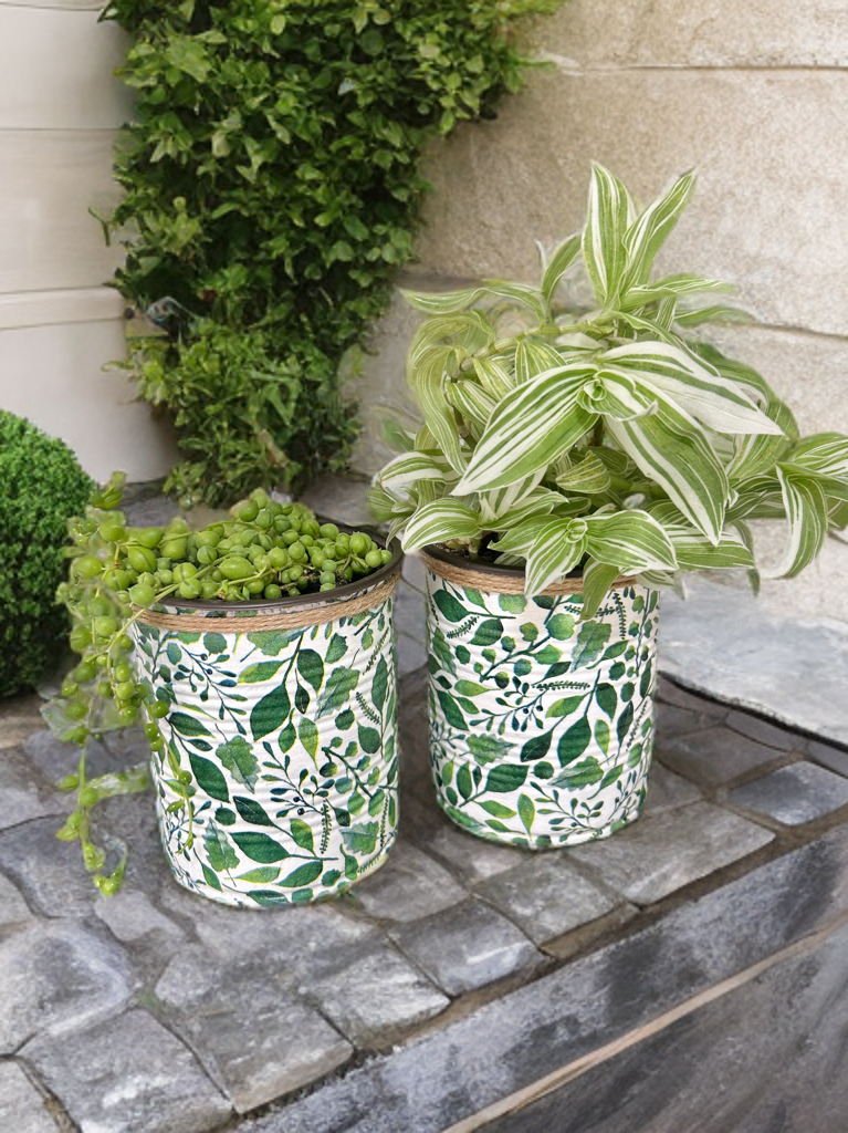 Eucalyptus Foliage Indoor House Plant Pot - 10cm