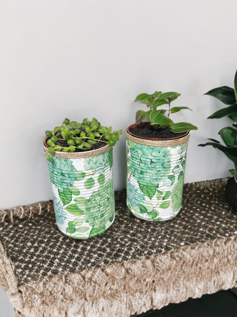Green Hydrangea Floral Grow Your Own Herb Garden Gift Set