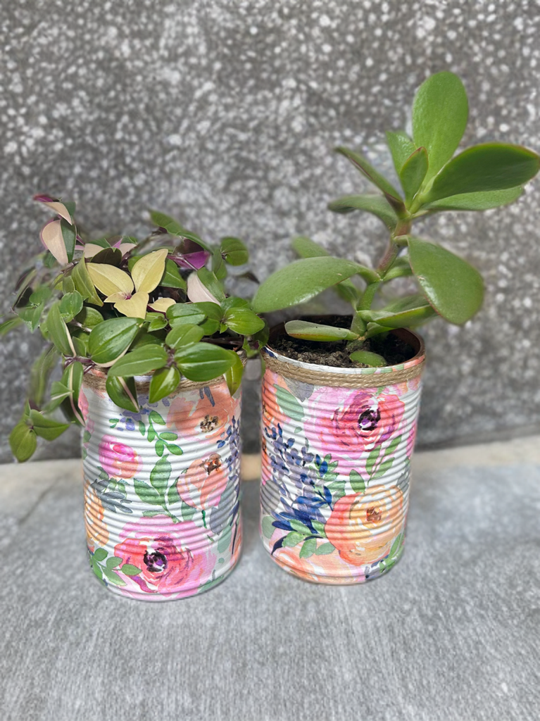 Pastel Summer Bloom Garden Grow Your Own Herb Garden Gift Set