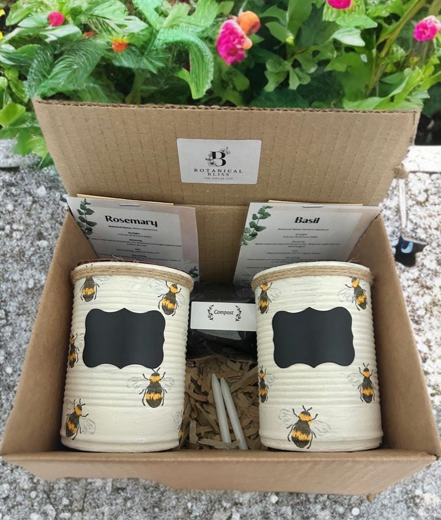 Honey Bee Rustic Grow Your Own Gift Set