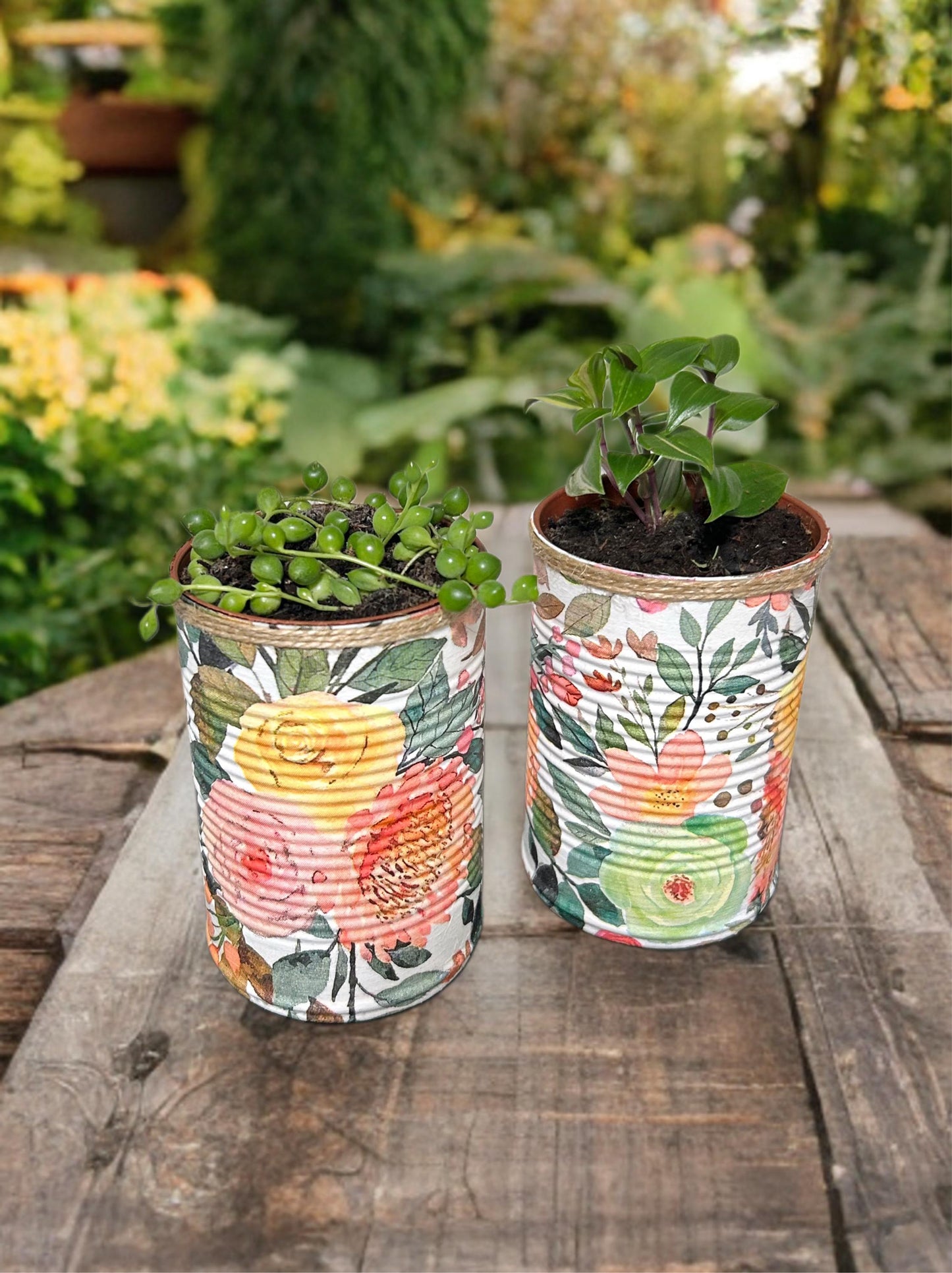Apricot & Mint Floral Grow Your Own Herbs Garden Gift Set