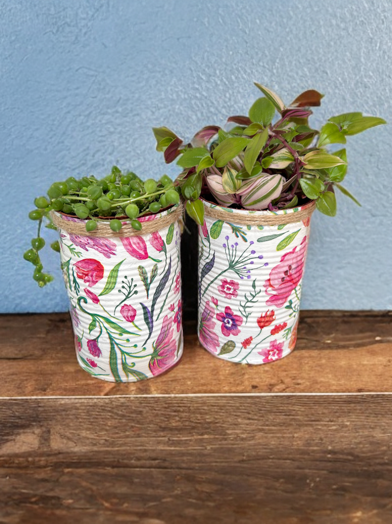 Whimsical Garden Grow Your Own Herbs Gift Set