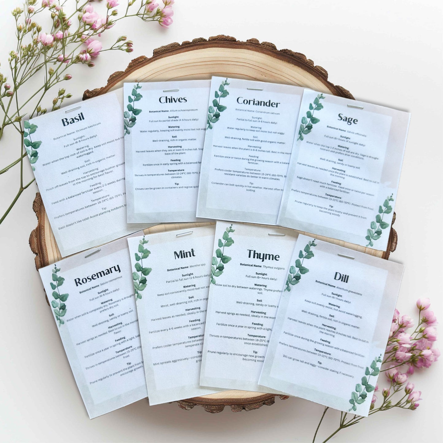 Blue Poppy Grow Your Own Herb Garden Gift Set
