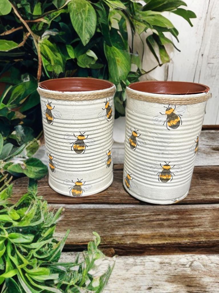 Honey Bee Rustic Grow Your Own Gift Set