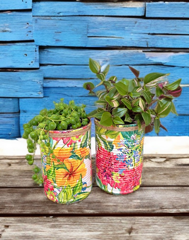 Tropical Floral Plant Grow Your Own Herbs Gift Set