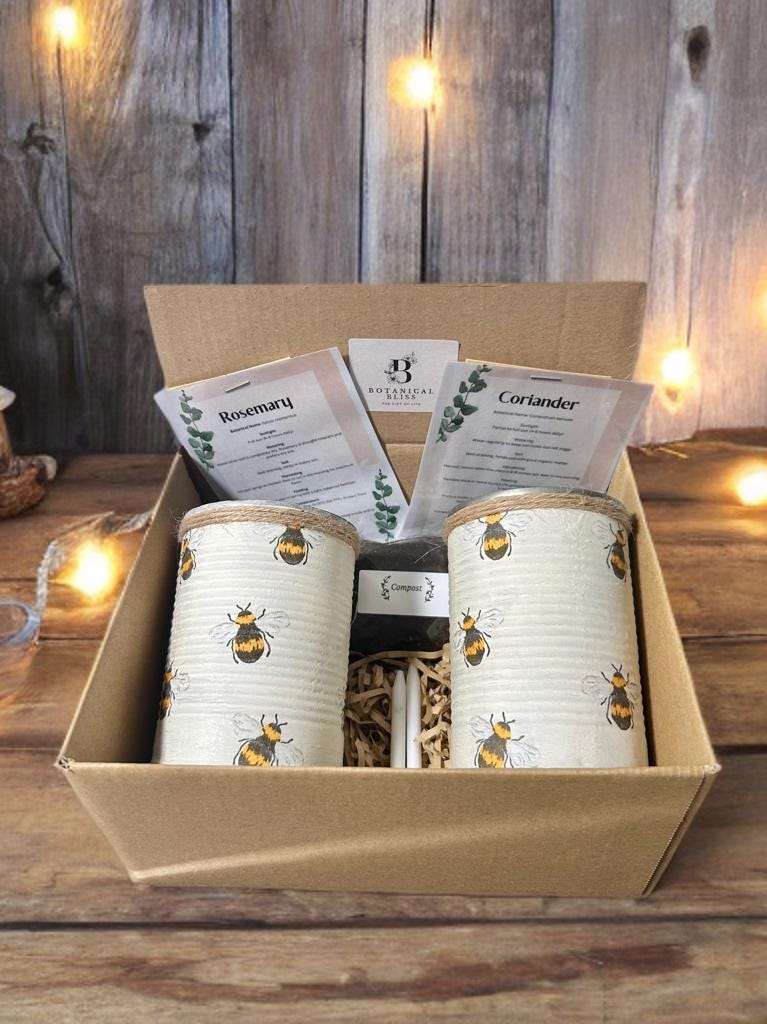Honey Bee Rustic Grow Your Own Gift Set