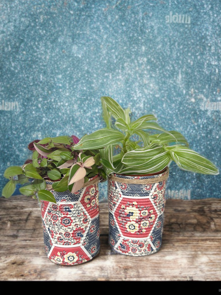 Patchwork Grow Your Own Herb Garden Gift Set