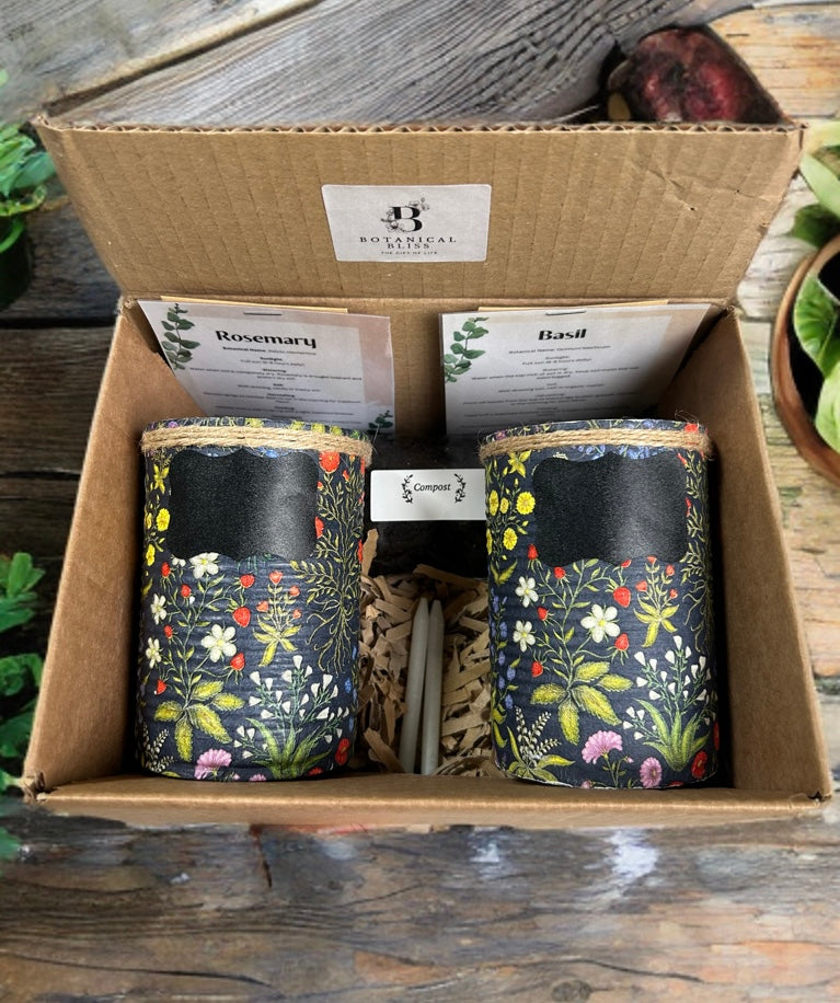 Medieval Floral Garden Grow Your Own Herbs Gift Set