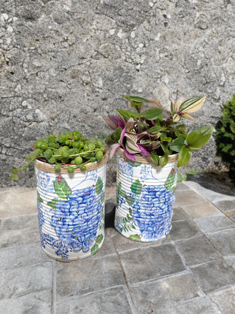Blue Hydrangea Grow Your Own Herbs Gift Set