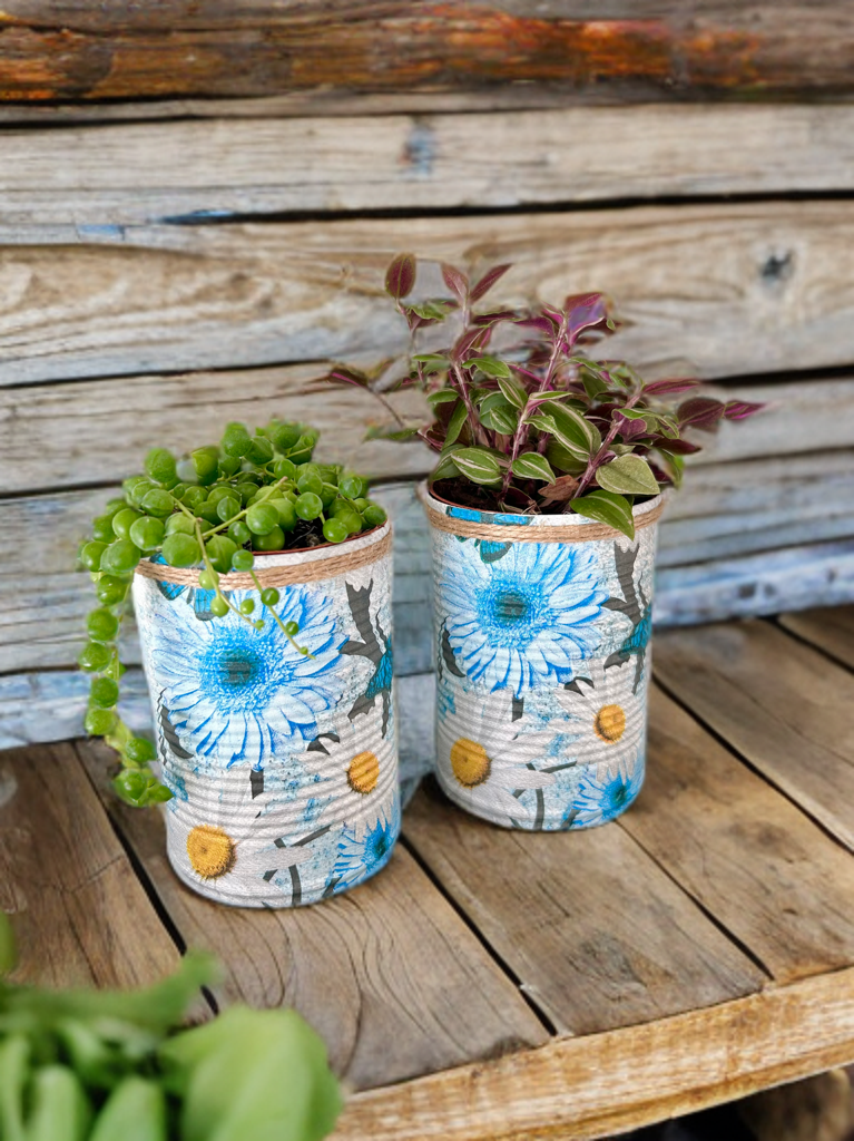 Large African Daisy Grow Your Own Herbs Gift Set