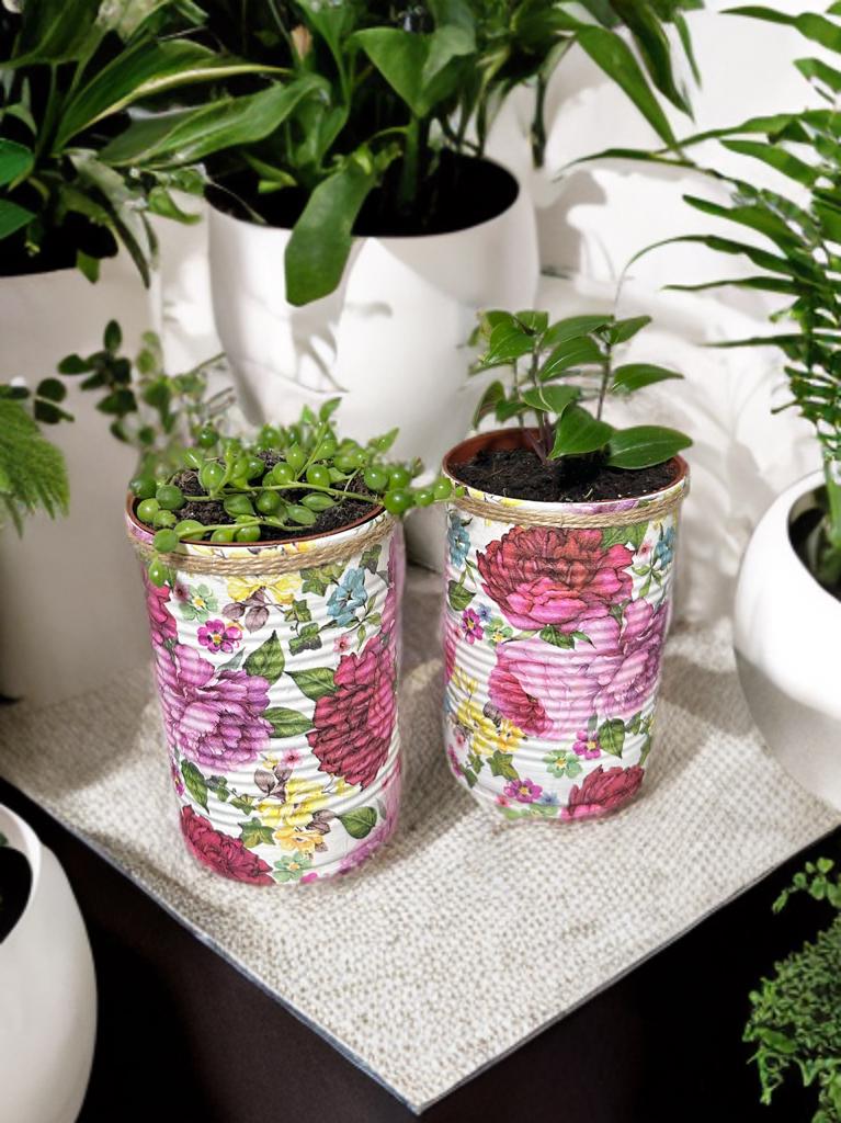 Peony Red & Purple Floral Grow Your Own Herbs Gift Set