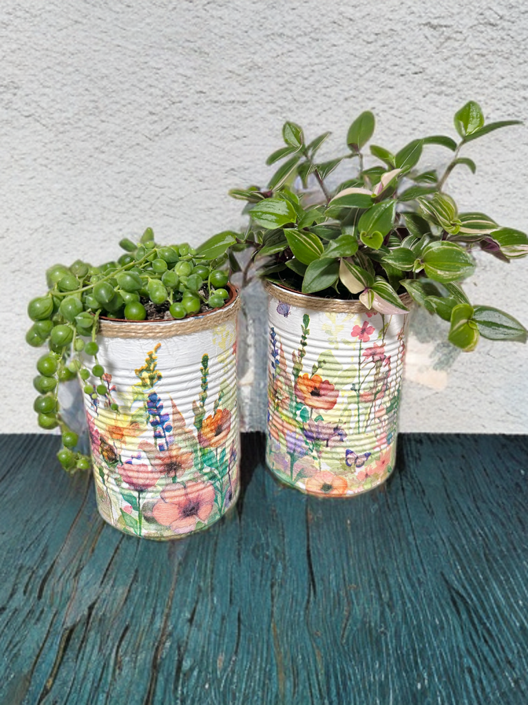 Fresh Wild Meadow Grow Your Own Herbs Gift Set